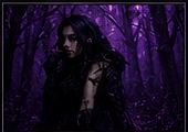 Featured gallery